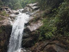 -九龙江国家森林公园