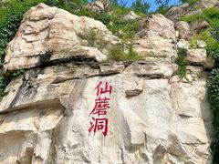 -仙蘑洞