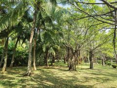 -白沙门生态公园