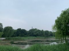 -北坞公园