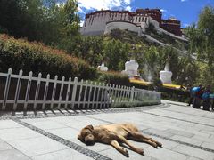 -宗角禄康公园