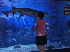 -烟台海昌鲸鲨海洋公园
