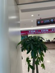 -上海交通大学医学院附属国际和平妇幼保健院生殖医学中心