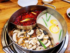 -青瓷火锅料理(西单大悦城店)