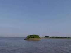 -大湾区中央湿地公园-十九涌