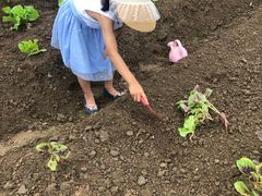 -前小桔亲子创意农场·草莓采摘·露营烧烤