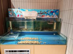 -犇鼎牛潮汕牛肉火锅(新辰里学清路店)