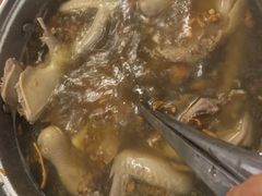 -百利鸽王(紫薇路店)