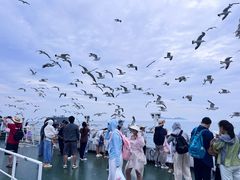 -海驴岛(荣成市)