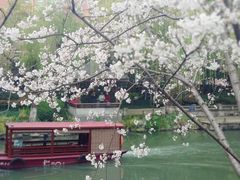 -素清香(解放路店)