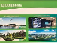 -东郊湿地公园