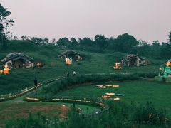 -大塘金香草谷