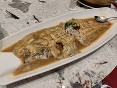 清蒸踏板鱼-皇朝海鲜酒店