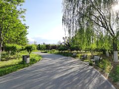 -永定河休闲森林公园