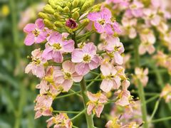 -中国天府农业博览园