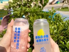 -冰椰岛椰冰(亚龙湾店)