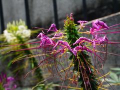 -广州市紫泥堂文化创意园景区