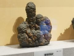 -湖南省地质博物馆