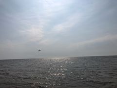 -碧水湾温泉