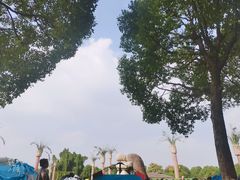 -上海月湖雕塑公园