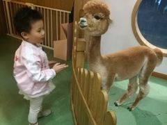 -藦茜花园宠物主题亲子互动体验馆(国顺东路店)