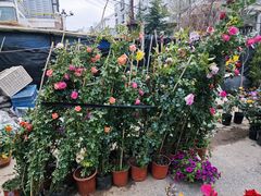 -香炉礁家具市场