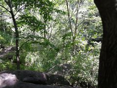 -云岫谷自然风景区