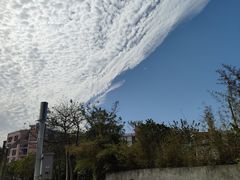 -广东金融学院(校本部)