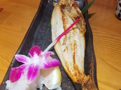 -有喜屋·鲜鸡烧鸟·居酒屋(安龙路店)