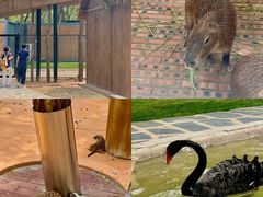 -南戴河国际娱乐中心