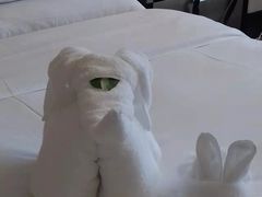 -厦门悦华酒店