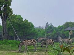 -宁波野生动物园