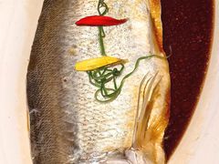-醉庐·新上海菜(南京西路店)