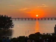 -宝安西湾红树林湿地公园