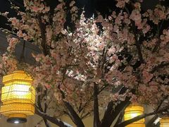 -绿茶餐厅(昌平悦荟店)