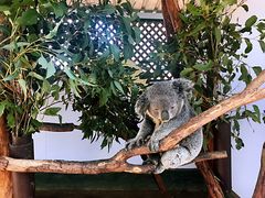 -费瑟代尔野生动物园