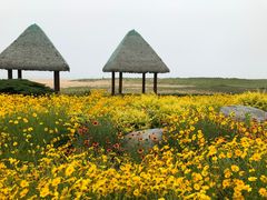 -青岛银沙滩温德姆至尊酒店