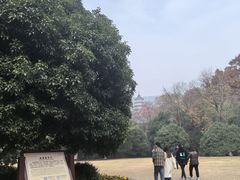 -灵谷景区