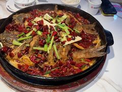 -老板恋上鱼(高新万达店)