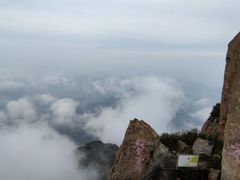 -白草畔自然风景区