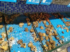 -海派美食·家宴海鲜青岛菜·石锅鲽鱼头(东方城店)