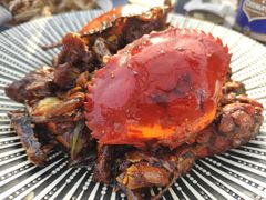 -后海16号·北京私房菜