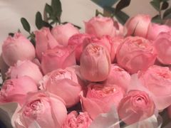 -园里火锅(仁和新城店)