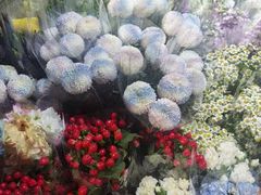 -循礼门鲜花花市(武汉循礼门店)