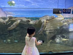 -福州罗源湾海洋世界旅游区