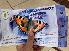 -上海昆虫博物馆