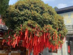 -东钱湖小普陀景区