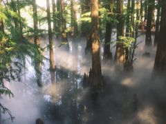 -东湖落雁景区