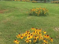 -莲花岛景区