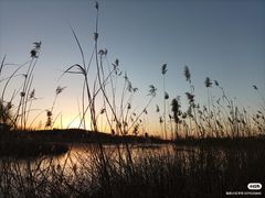 -马家湾湿地公园